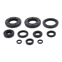 Vertex Oil Seal Gasket Kit 822993