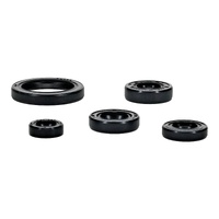 Vertex Oil Seal Gasket Kit 822994