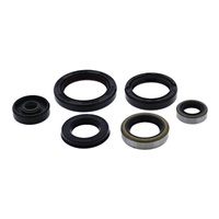 Vertex Oil Seal Gasket Kit 822995
