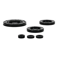 Vertex Oil Seal Gasket Kit 822997