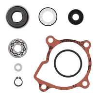 Vertex Water Pump Rebuild Kit 821865