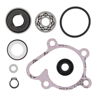 Vertex Water Pump Rebuild Kit 821875