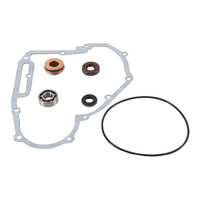 Vertex Water Pump Rebuild Kit 821891