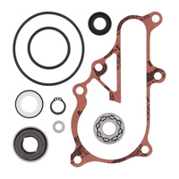 Vertex Water Pump Rebuild Kit 821923