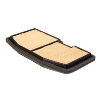 Air Filter for Triumph STREET TRIPLE R 675 2013-2016