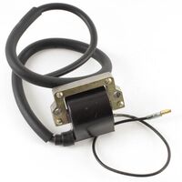 Whites WPELC04120110 12V CDI Ignition Coil 