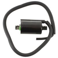 12V CDI Ignition Coil for Yamaha YFM700FAP GRIZZLY EPS AUTO 4X4 2007