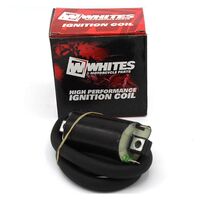 12V CDI Ignition Coil for Arctic Cat 300 2x4 2012