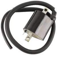 Whites WPELC04120134 12V CDI Ignition Coil 