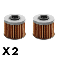 2 Pack Whites Oil Filter Honda CRF1100L Africa Twin DCT/EERA 2020-2021 (WPOF117)