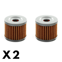 2 Pack Whites Oil Filter for Hyosung GT250 Comet 2002-2004