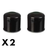 2 Pack Whites Oil Filter WPOF134
