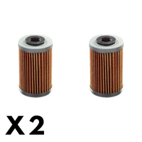 2 Pack Whites Oil Filter for Beta RR450 4T 2005-2009