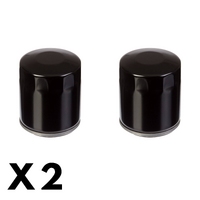 2 Pack Whites Oil Filter for Harley VRSCD 1250 V Rod Night Rod 2008-2009