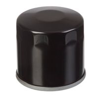 Oil Filter for Triumph Speedmaster 800 2003-2004 (191)