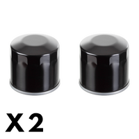 2 Pack Whites Oil Filter for Indian Chief Vintage 2015-2020