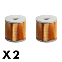 2 Pack Whites Oil Filter WPOF681