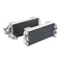 Whites Radiator Set WPRAD060P